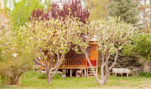 Hosteria La Farfalla Chos Malal Exteriér fotografie